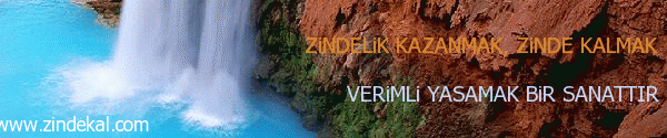 Zinde Yaşam